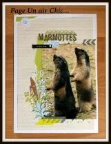 Pack Un air chic vert