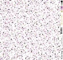 Pack Un air chic violet