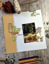 Pack Un air d\'automne flamboyant