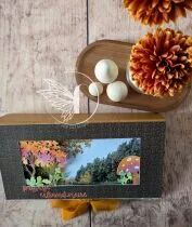 Pack Un air d\'automne flamboyant