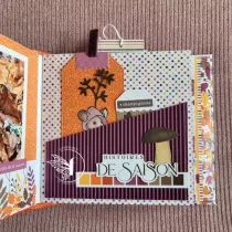 Pack Un air d\'automne flamboyant