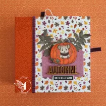 Pack Un air d\'automne flamboyant