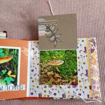 Pack Un air d\'automne flamboyant