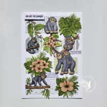 Pack un air de jungle