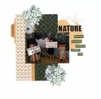 Pack un air de jungle
