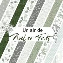 Pack un air de noel en foret