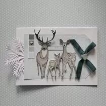 Pack un air de noel en foret