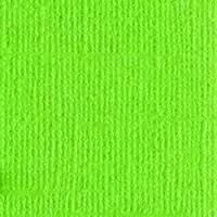 PAPIER BAZZILL BLING BANK ROLL/ VERT