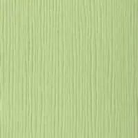 PAPIER BAZZILL GRASS CLOTH SPRING BREEZE