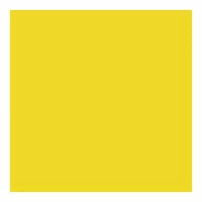 PAPIER BAZZILL JAUNE T4-484 CARD SHOPPE MARSHMALLOW CHICK
