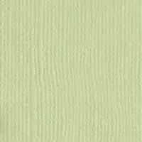 PAPIER BAZZILL ALOE VERA