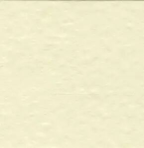 PAPIER BAZZILL ORANGE PEEL BUTTER CREAM