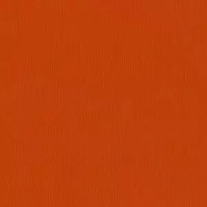 PAPIER BAZZILL PUMPKIN PATCH