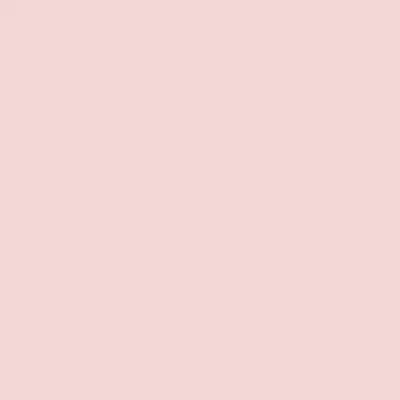 PAPIER BAZZILL ROSE CLAIR - CANVA PINK CLOUD