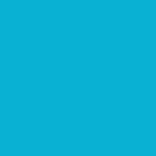 PAPIER Bazzill Smoothies Cardstock 12\ X12\  Blue Raspberry