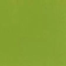 PAPIER BAZZILL VERT T5-5157 CARD SHOPPE CARAMEL APPLE