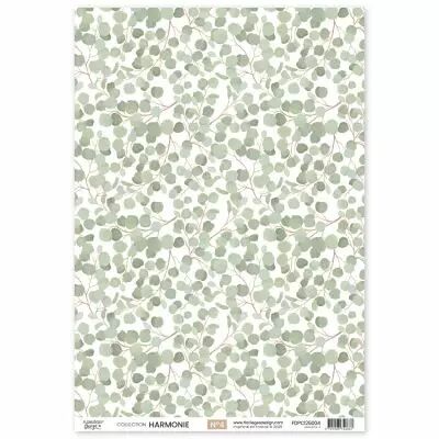 Papier calque HARMONIE 4