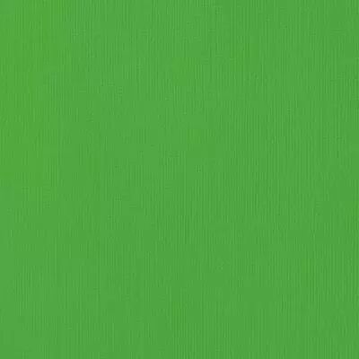 PAPIER CARDSTOCK GRASS