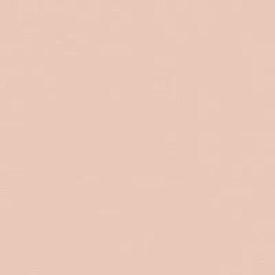 71725_12xCardstock_Shrimp