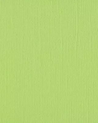 Papier Cartonn� A4 Textur� Florence 216g - celery - vert