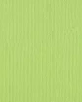 Papier Cartonn&eacute; A4 Textur&eacute; Florence 216g - celery - vert