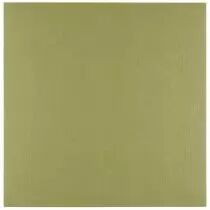 Papier Cartonné Lin Florence 250g - Acacia - Olive
