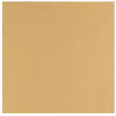 Papier Cartonn� Lisse Florence 216g - BEACH