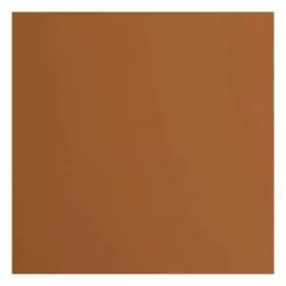 Papier Cartonn� Lisse FLORENCE 216G - Marron