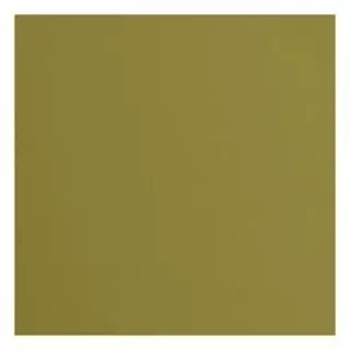 Papier Cartonn� Textur� Florence 216g - acacia - vert