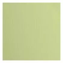Papier Cartonn&eacute; Textur&eacute; Florence 216g - anise - vert