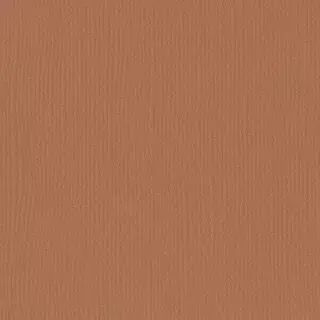 Papier Cartonn� Textur� Florence 216g - brick - marron