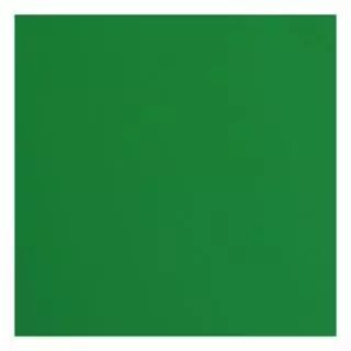 Papier Cartonn� Textur� Florence 216g - broccoli - vert