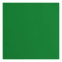 Papier Cartonné Texturé Florence 216g - broccoli - vert