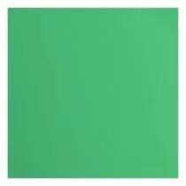 Papier Cartonné Texturé Florence 216g - Emerald - vert