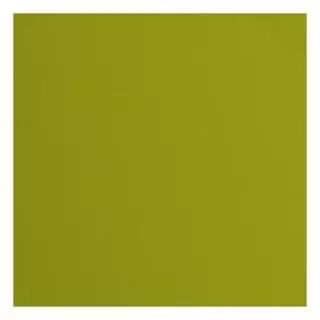 Papier Cartonn� Textur� Florence 216g - fern - vert