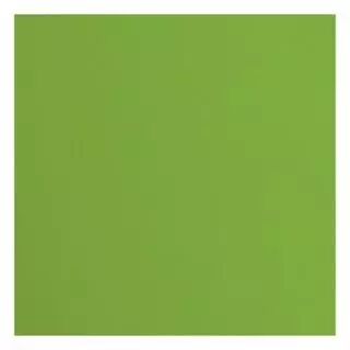 Papier Cartonn� Textur� Florence 216g - frog - vert