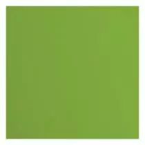 Papier Cartonné Texturé Florence 216g - frog - vert