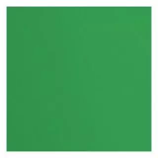 Papier Cartonn� Textur� Florence 216g - Holly - vert