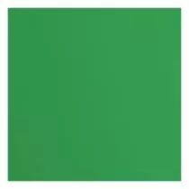 Papier Cartonné Texturé Florence 216g - Holly - vert