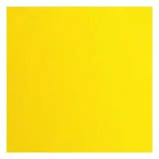 Papier Cartonn� Textur� Florence 216g - Lemon yellow - jaune
