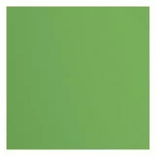 Papier Cartonn� Textur� Florence 216g - Moss - vert