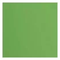 Papier Cartonn&eacute; Textur&eacute; Florence 216g - Moss - vert