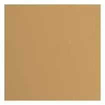 Papier Cartonn&eacute; Textur&eacute; Florence 216g - peanut - marron