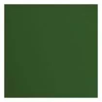 Papier Cartonn&eacute; Textur&eacute; Florence 216g - pine - vert