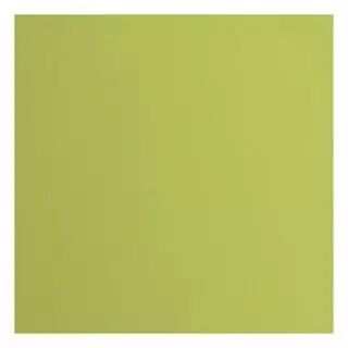 Papier Cartonn� Textur� Florence 216g - pistachio - vert