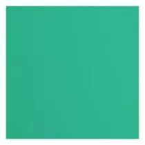 Papier Cartonn&eacute; Textur&eacute; Florence 216g - sage - vert