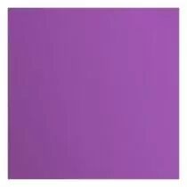 Papier Cartonn&eacute; Textur&eacute; Florence 216g - violet - violet