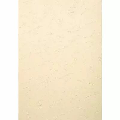 PAPIER GRAIN CUIR 21*29.7 CM IVOIRE 270G