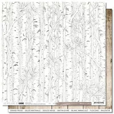 Papier Histoires au Naturel 6 \ For�t de bouleaux\ 