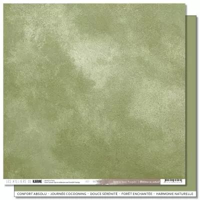 Papier Histoires au Naturel BTB 10 \ Foug�re\ 